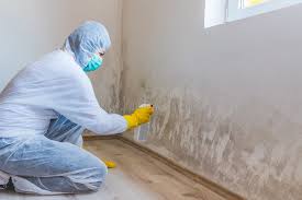 Why You Should Choose Our Mold Remediation Services in Jan Phyl Village, FL